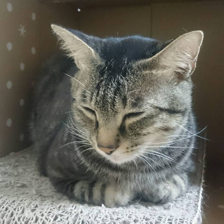 881e1e14 6907 46fc b9ba ad7c49c6dee2