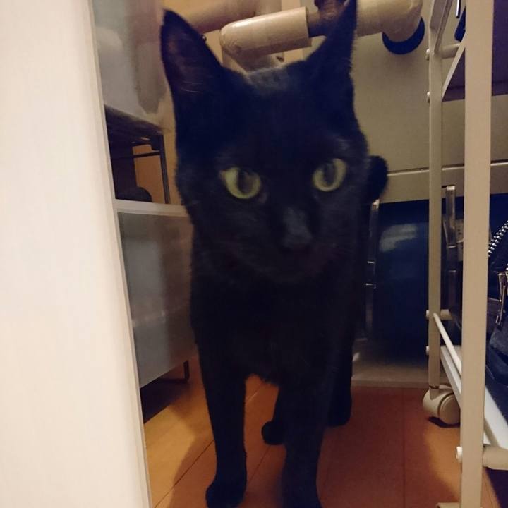 881e4c72 ed97 404e ac60 c6e17bb74945