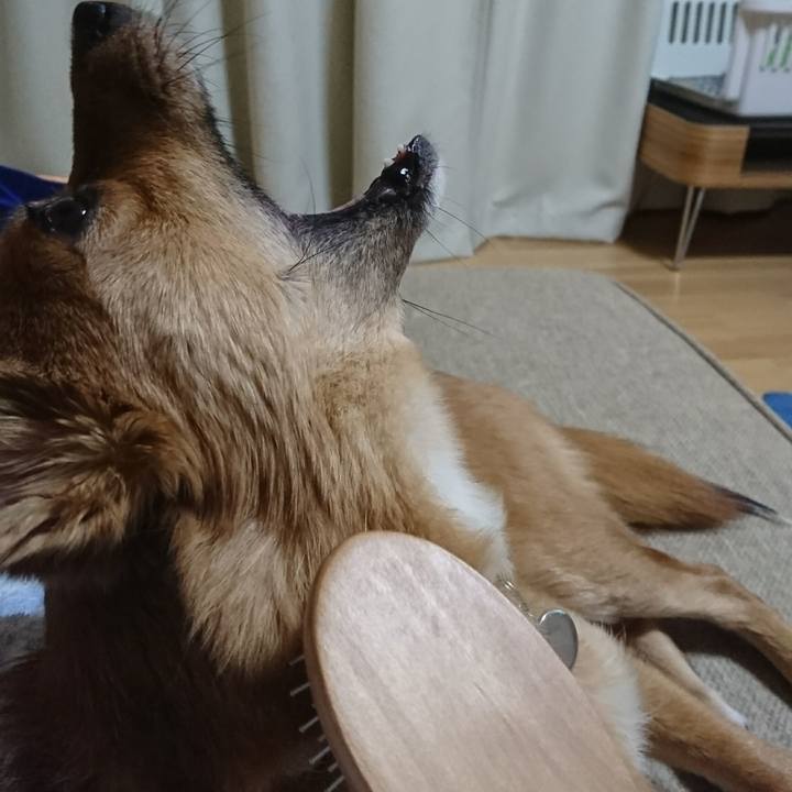 881e84d3 2f4a 4cb6 a7a6 75895d1b9b5c