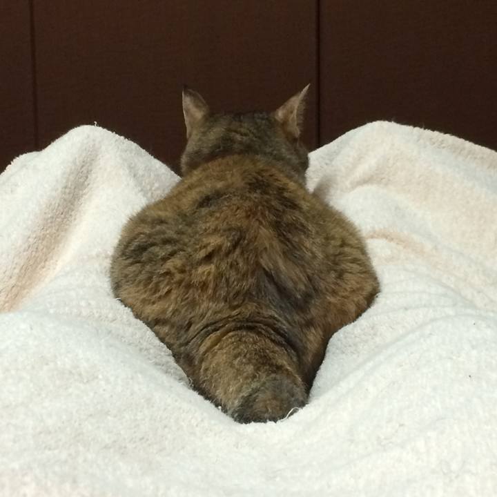 881f4f7e d13e 4a3e 91a6 ecac85be0541