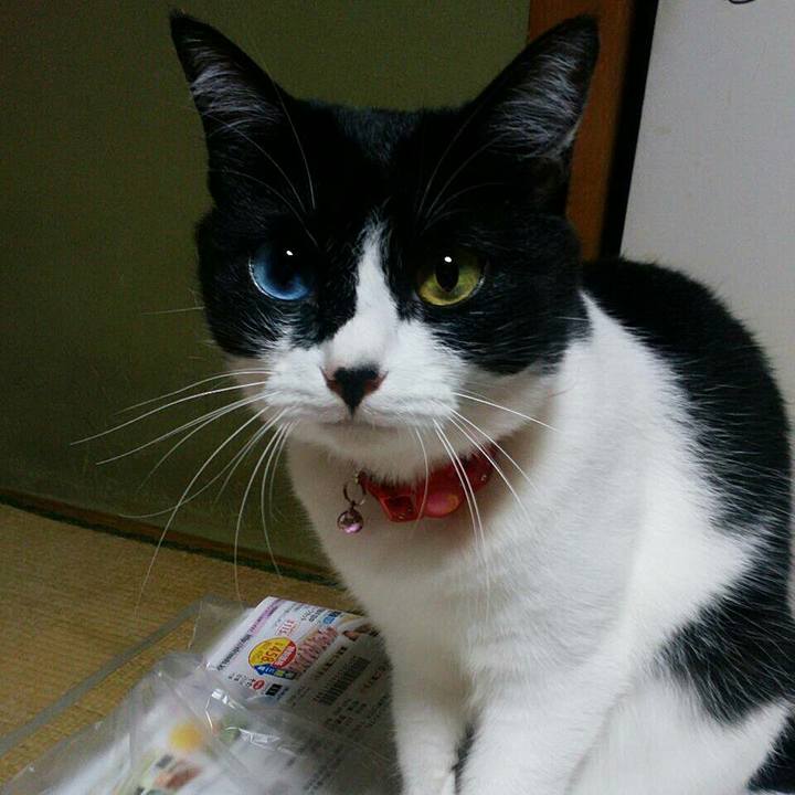 881f6e80 7386 40c2 a555 c7efc165bf7c