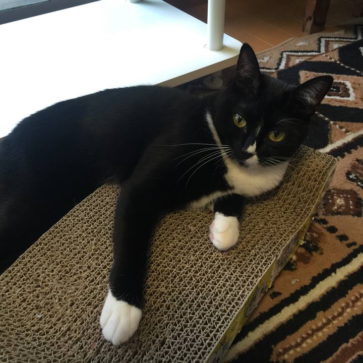 881f7d55 21e4 4125 857d fe439ee19ddf