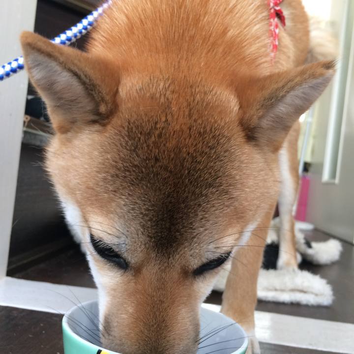 881fcfcc 03e4 4643 ae9f c6ae184eae8a