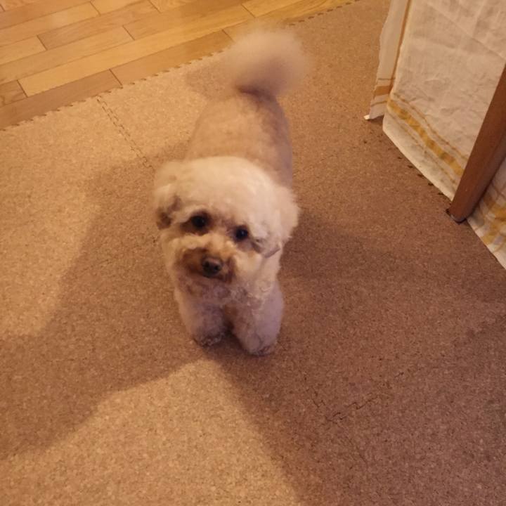 881ff72e dc90 4a05 93ce 083d629aee67