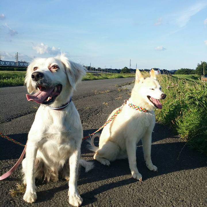 88200cb8 4907 4ea4 916a 8e15f79e3a05