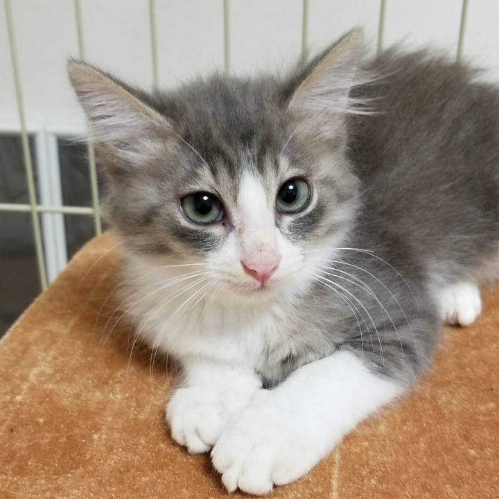 88208387 81f9 47f1 943c 7dad2069ea7e