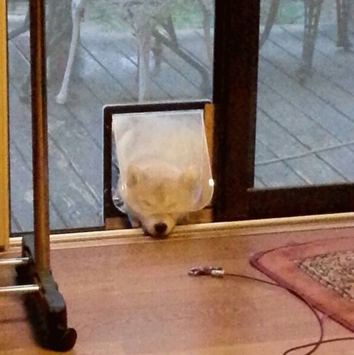 8820997c 5674 4ca5 8730 93833a06e2bf