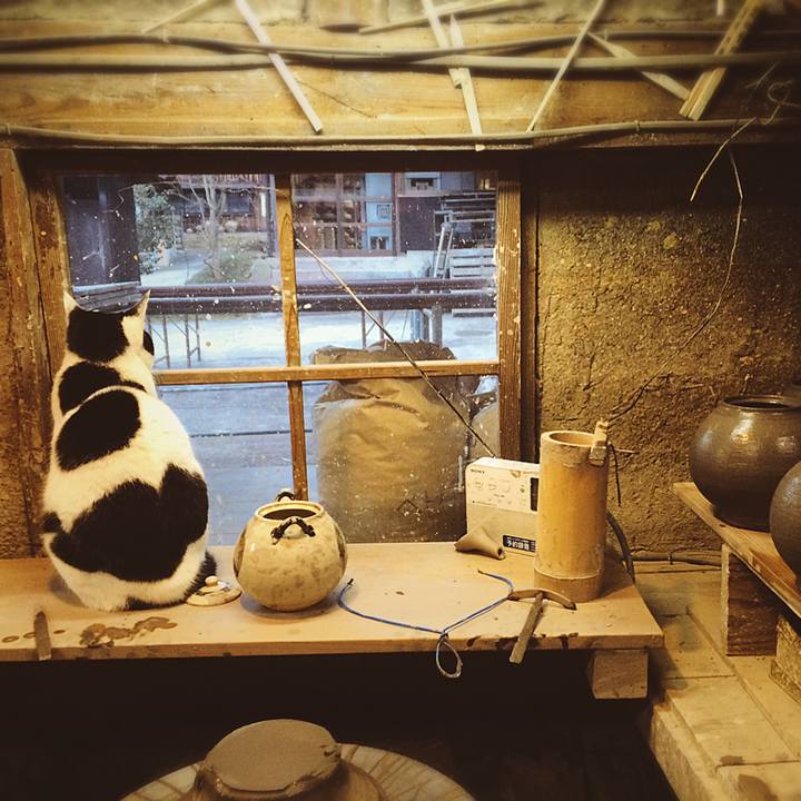 88209d25 d11f 424d ba25 dedf2ce1b066