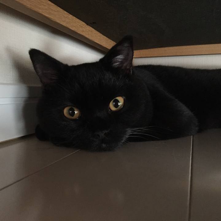 882105ad 18e7 47bb ae73 0b353f9856e0