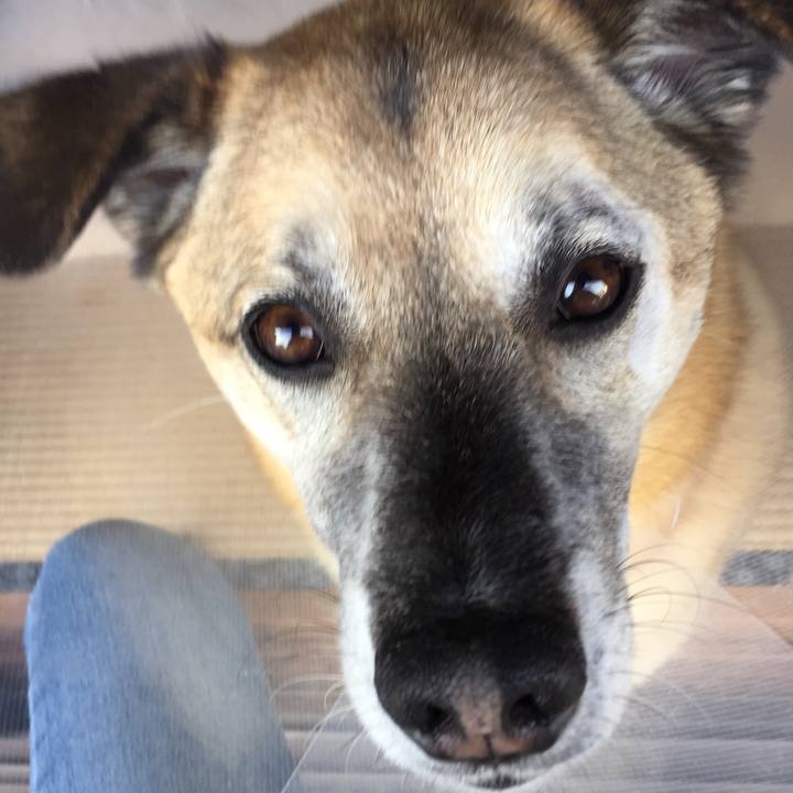 882134f9 8699 41ac a0e5 1cfd10e105fa