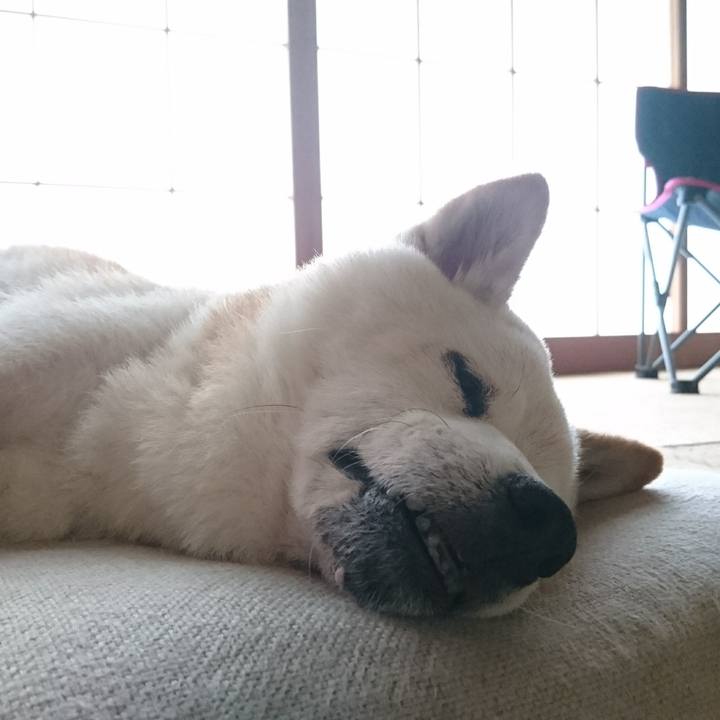 882263bc 0e45 4f16 8c56 e0bd1c218d5d