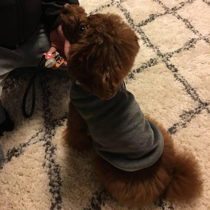 882280df e3c4 4d66 8264 5ccd56b77bbf