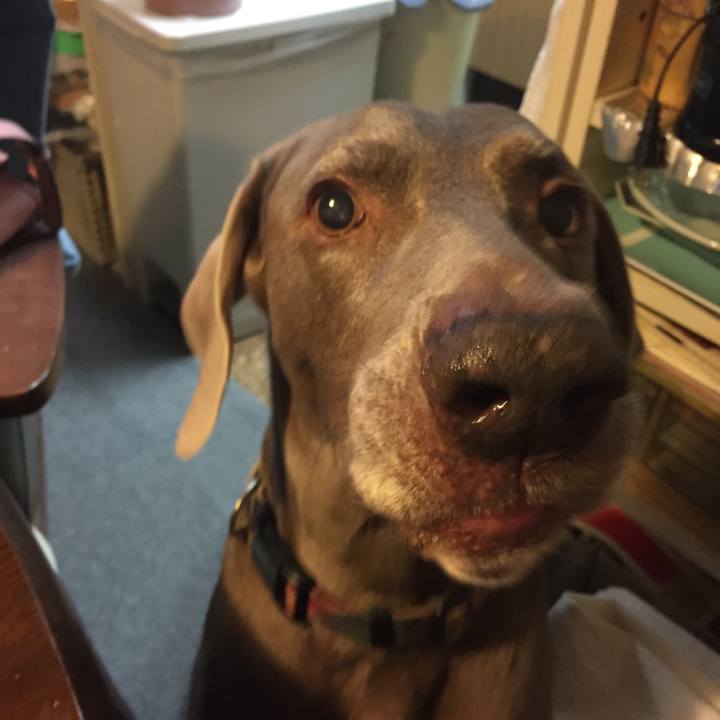 8822e1e6 ef2e 4165 b826 3b45f7a984c5