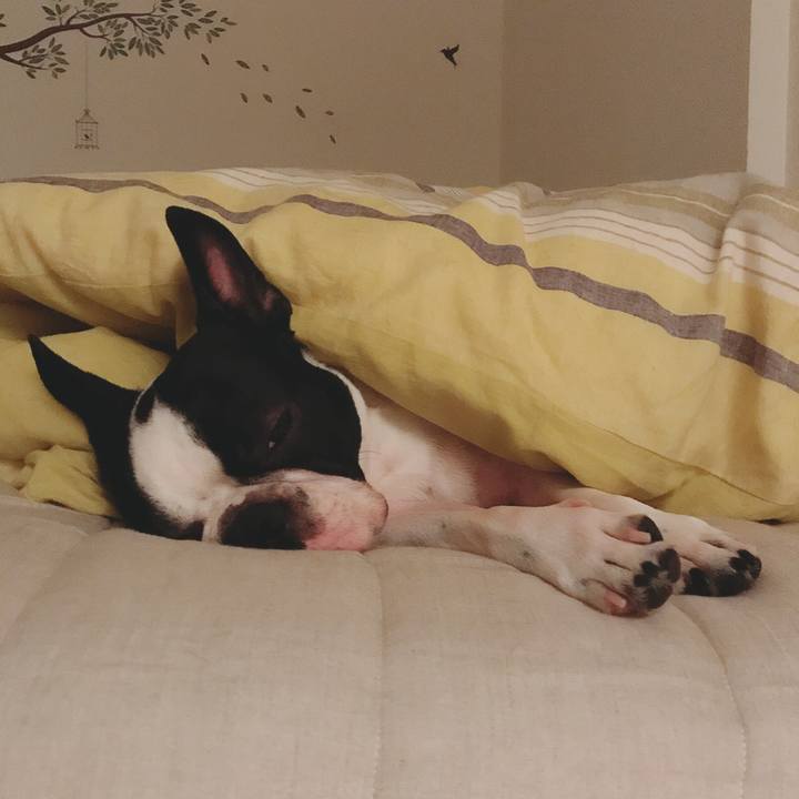 88245a99 c20a 4b89 b9f0 3397c1dfef5a