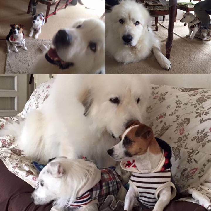 882500a5 9003 4f8b b1da 2f2f0e3c7782