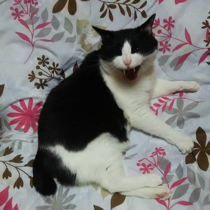 88250cf2 8750 4d09 94bb cce1c739dea3