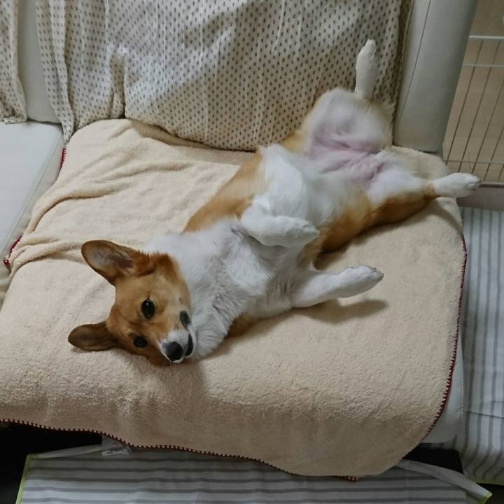 8825b666 d78b 4873 a7c0 61ceb5f99d68