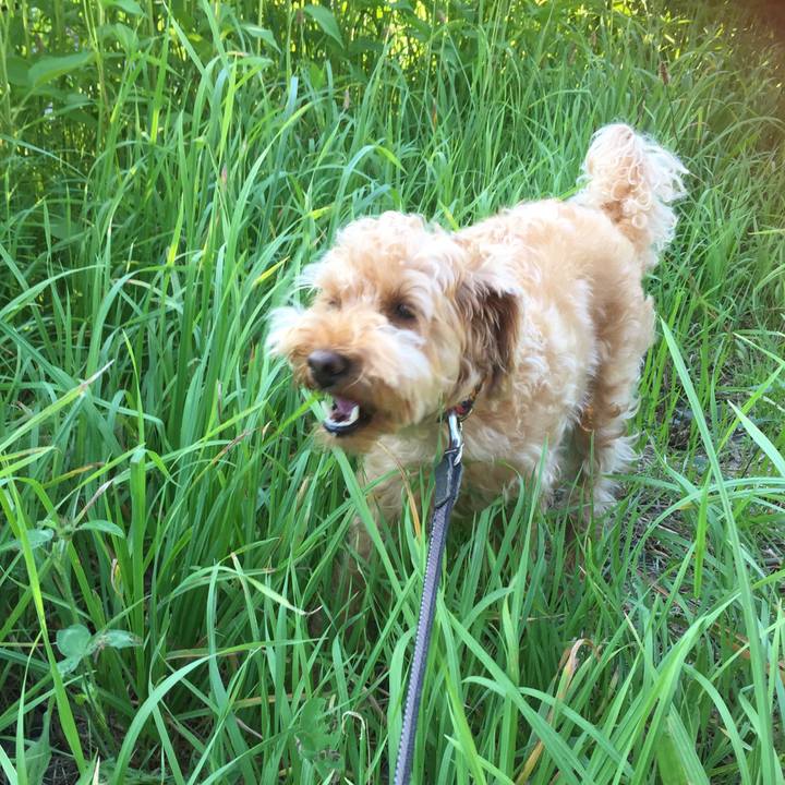 8825ef0c ffa2 4e27 aa94 1bbc4417fd5e