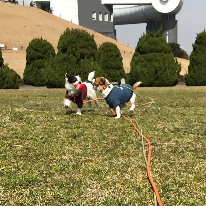 8825f58c a08c 4b9e ae73 2de797ef16fc