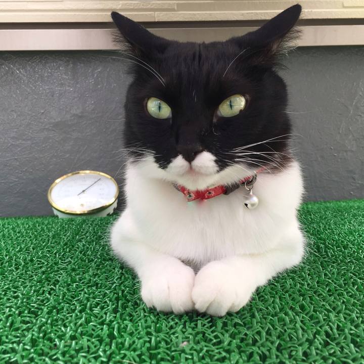 88261902 1eae 449f 8e1a 8f4fe14e62eb