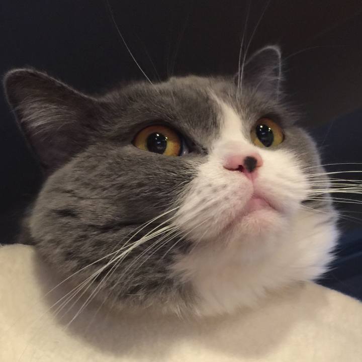 88271e9d ae68 4f16 af58 f763a307252a