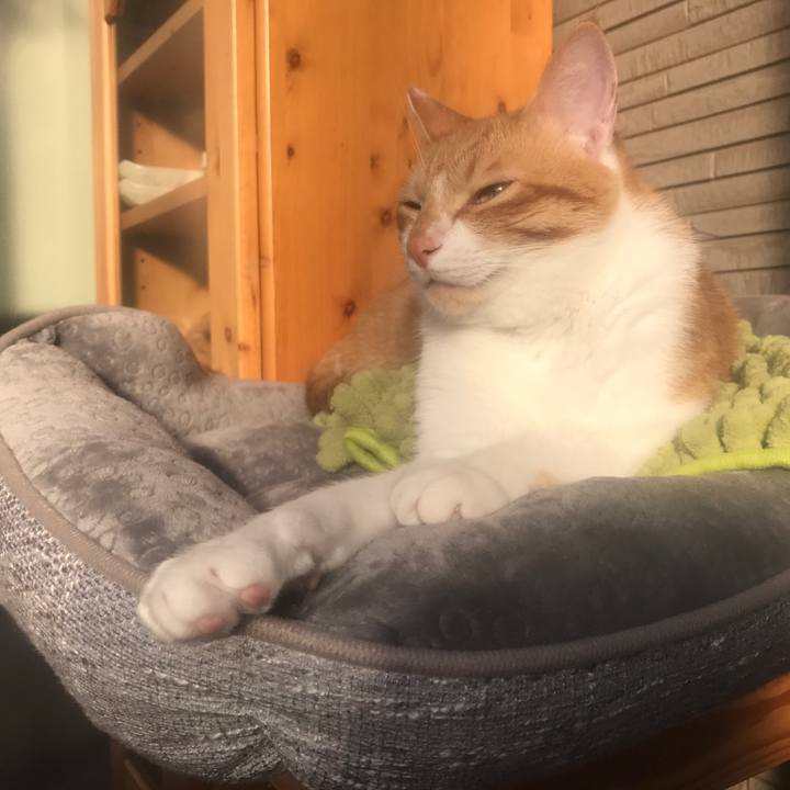 8827a905 2939 48fc a94c deee43b2ef5f