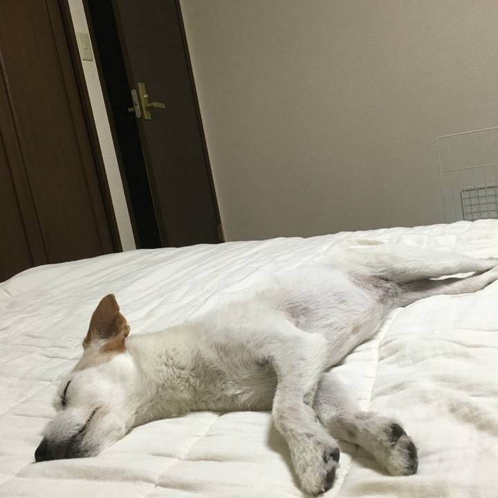 8828268f 32de 4c17 8222 9dc0f7d6b62c