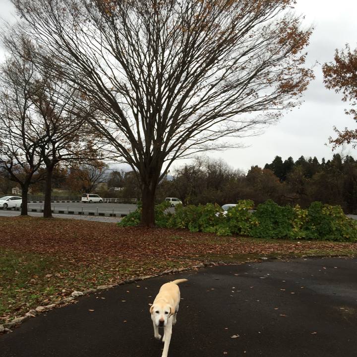 8828e9df 028c 425c 9e7d eb9b78594208