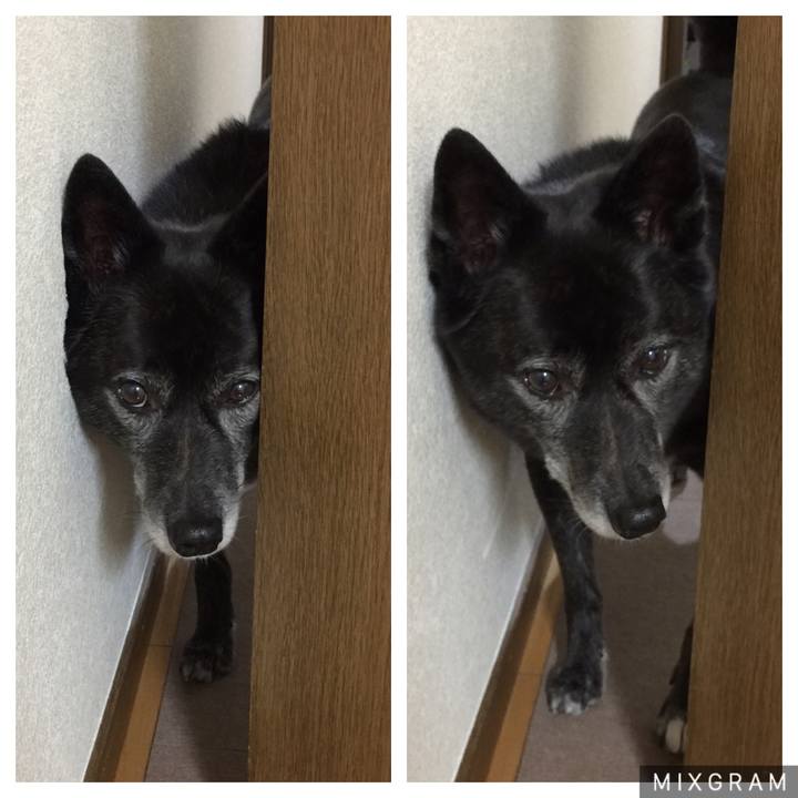 8829193c 154b 4c81 9dcc e743c23873ca