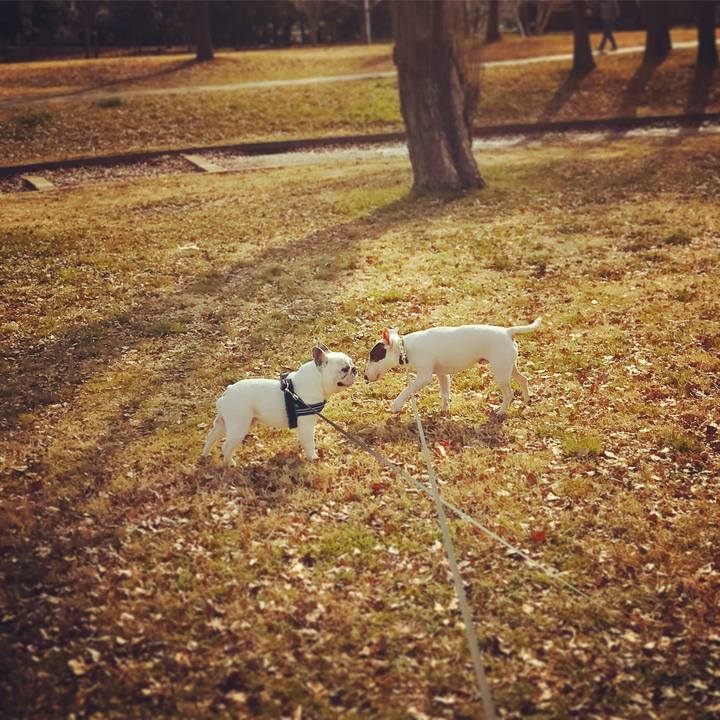 8829a44f 53c7 4deb 9e4f 6fdfe4390035