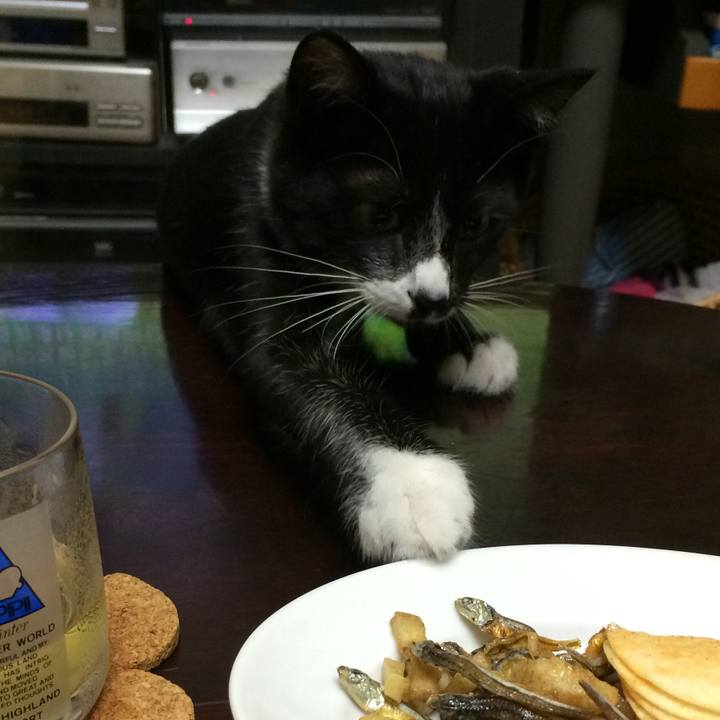 8829df4c 42f4 4ab8 bd19 92ba322d1db1