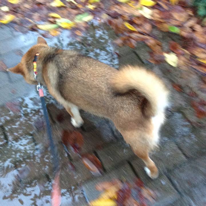 882a2bc9 9e1a 4c31 b389 84ac78d4aeed