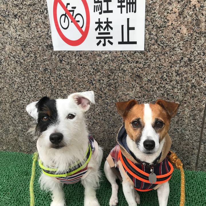 882a3d18 4d1f 44e2 9292 9c2e1d7242d8