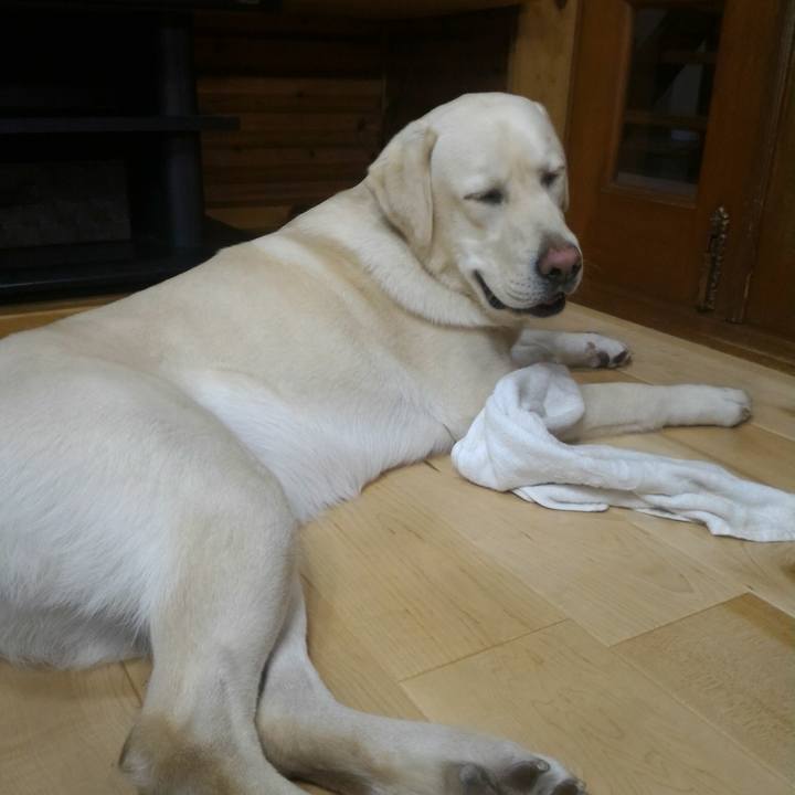 882a4ea5 17bf 4711 abd7 a8dada001969