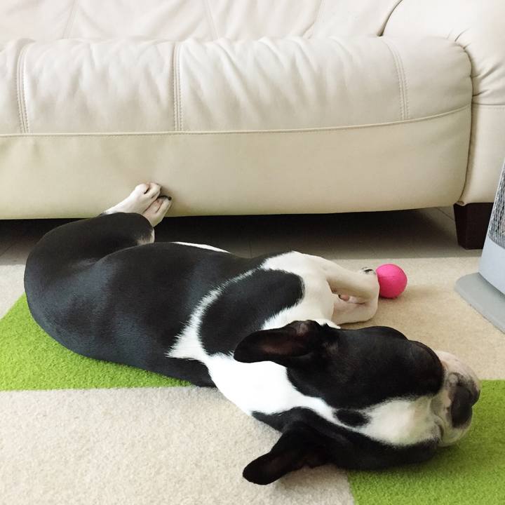 882a89bc c107 4c24 aa4c 90a247c638bc