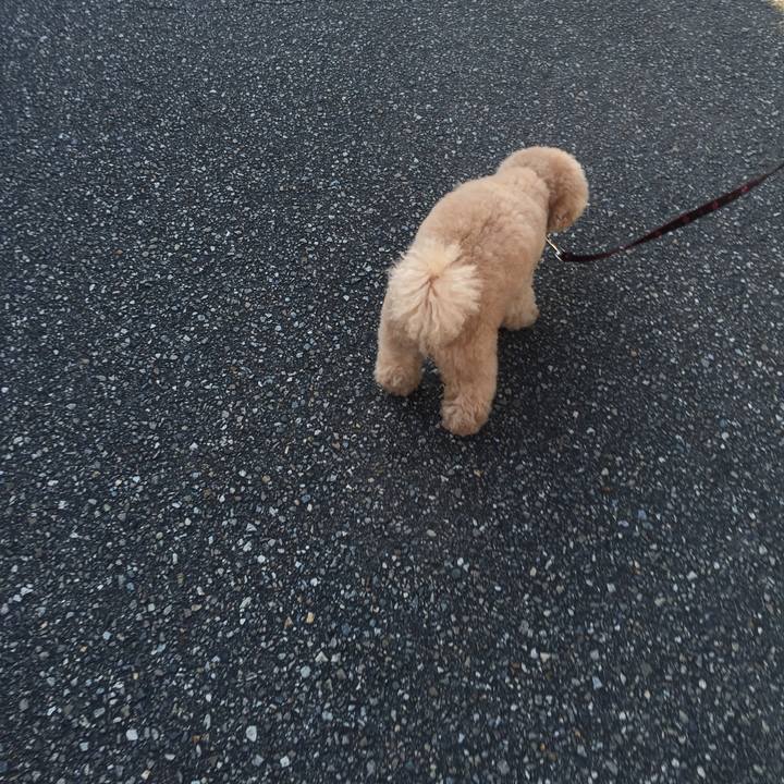 882b3732 273a 474c a16e f5d4cff1d7cb