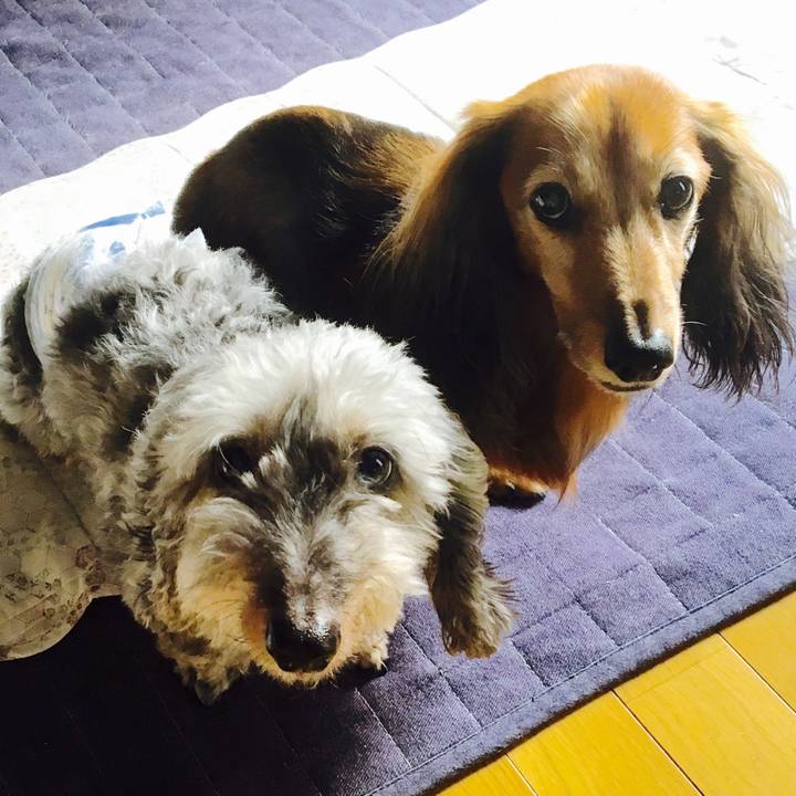 882b559a c4d7 4b9a a27d 2efe98342173