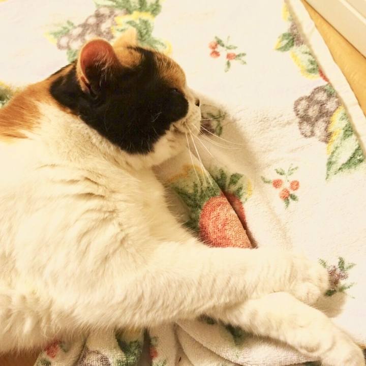 882b67e8 3fa6 4162 88bf 9f959a9c2a2f