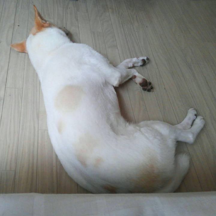 882be621 de38 4a30 8722 63e990039a1a