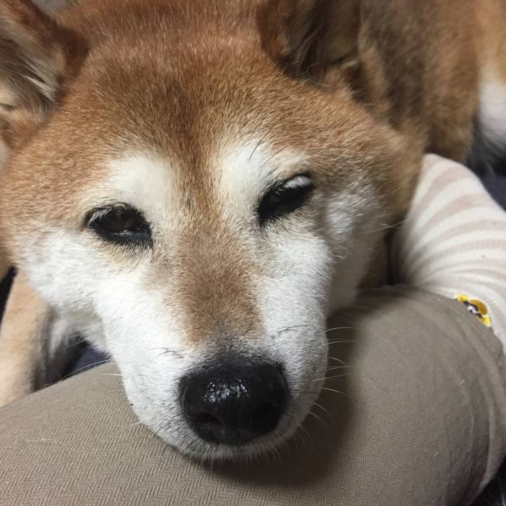 882c3080 e9b7 4ddb 86a2 10be91862155