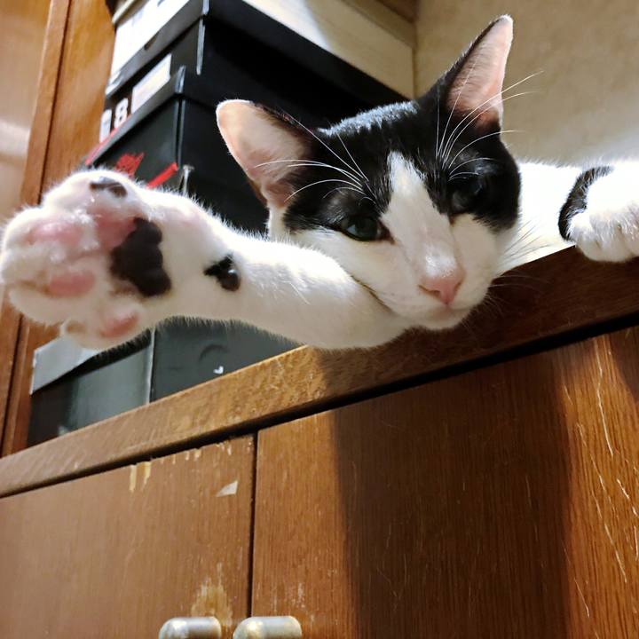 882c72f2 c808 40a6 8d11 e3ebf12184df