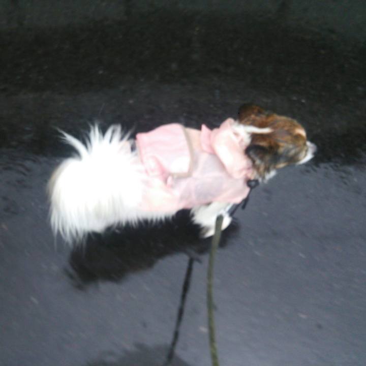 882cbb63 4c44 41b3 bd24 ba1f992abdc6