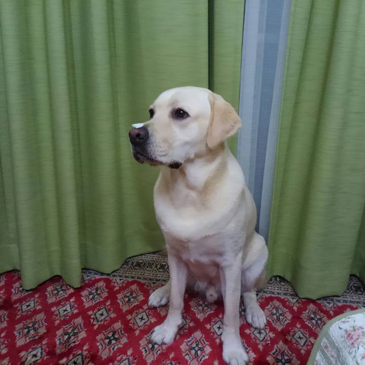 882cd27e f4ef 4108 bf78 709ef6546309