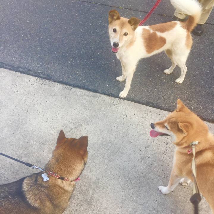 882d50da 38c0 47aa a175 3ec78cac104b