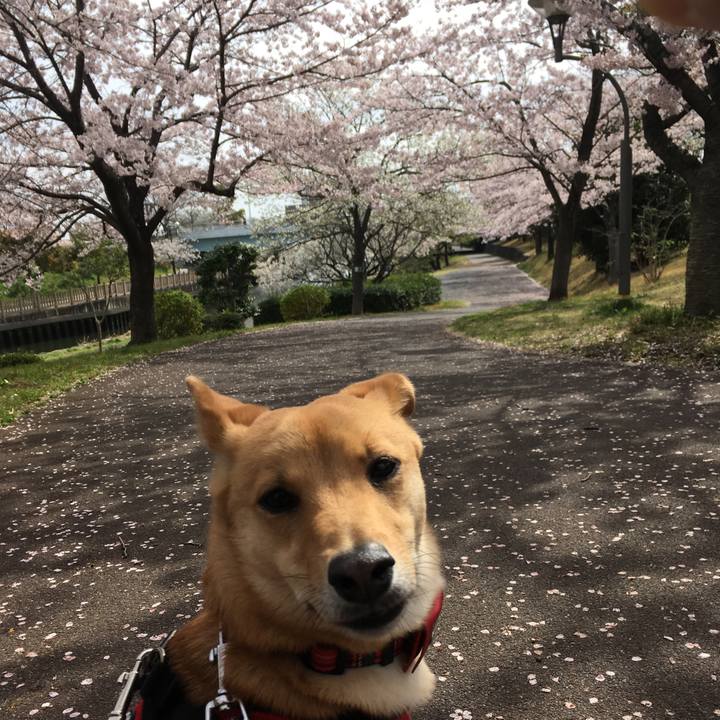 882d9fe4 e6e8 4684 86b1 3193d23a7696