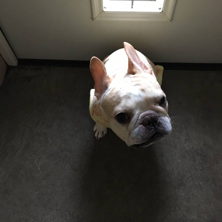 882dd3af 6fcf 4ed4 a55e 4ec2076a3c0c