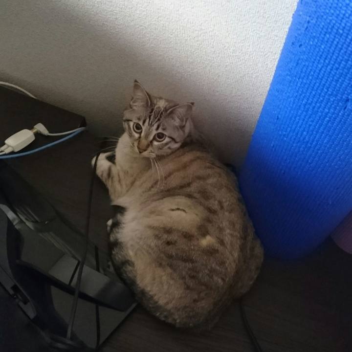 882de172 94d6 4bb4 a5aa 0f0b4162e35d