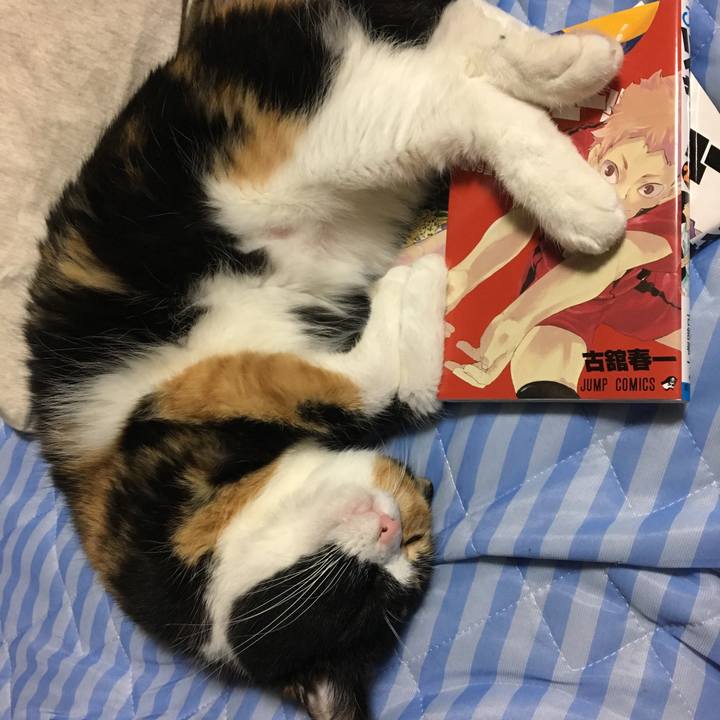 882e7572 30e8 437b a285 ba98f253d29c