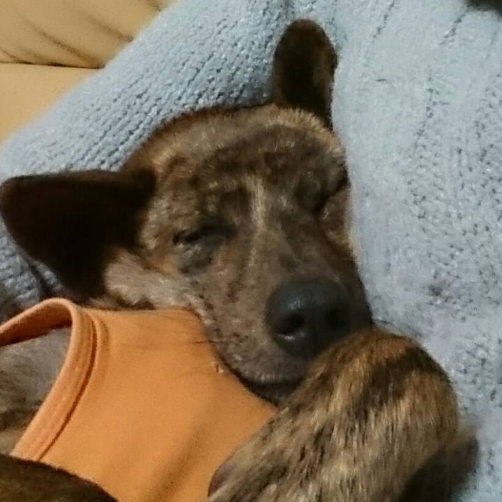 882f5652 0f03 4edf b975 445528e61b55