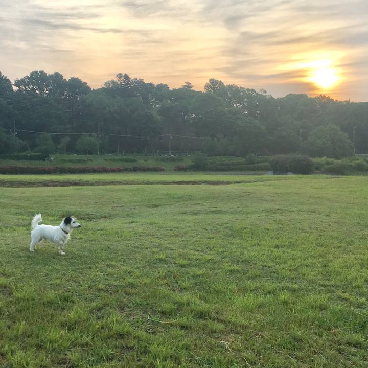 882f80c8 7032 442e b12c 6028527c3c65